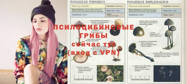 каннабис Алексеевка
