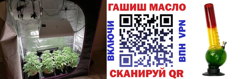 ТГК THC oil  МЕГА маркетплейс  Сосновый Бор 