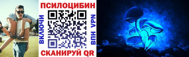 Псилоцибиновые грибы Psilocybe  закладки  Сосновый Бор 